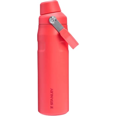 Drinkfles Stanley The IceFlow™ Flip Straw 2.0