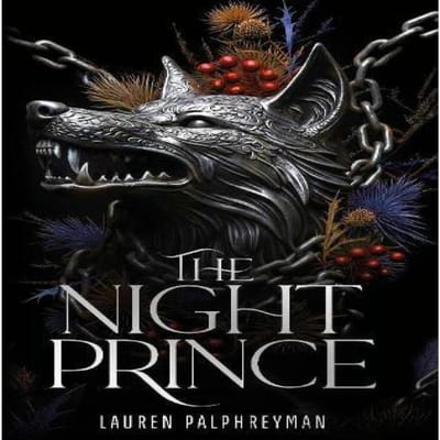 De Nachtprins door Lauren Palphreyman Hardback Boek 9781911751106