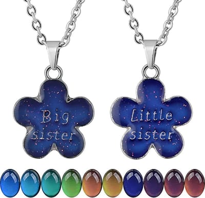 Bixorp Friends BFF Ketting voor 2 met Bloemetjes - Verandert van kleur! - Zilverkleurig - "Big Sister Little Sister"Vriendschapsketting