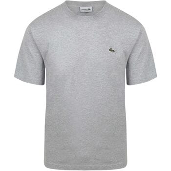 Lacoste T-Shirt Grijs - Maat XXL - Heren - Casual T-shirts