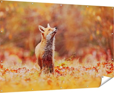 Gards Tuinposter Vos in het Bos tussen de Bladeren - 180x120 cm - Tuindoek - Tuindecoratie - Wanddecoratie buiten - Tuinschilderij
