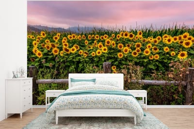 Behang - Fotobehang Zonnebloem - Bloemen - Planten - Breedte 320 cm x hoogte 240 cm