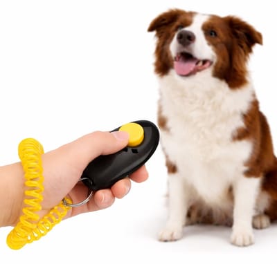 Clicker Hondentraining Met Elastische Polsband I Training Hond I Effectieve Huisdierentraining I Met Sleutelring I Zwart