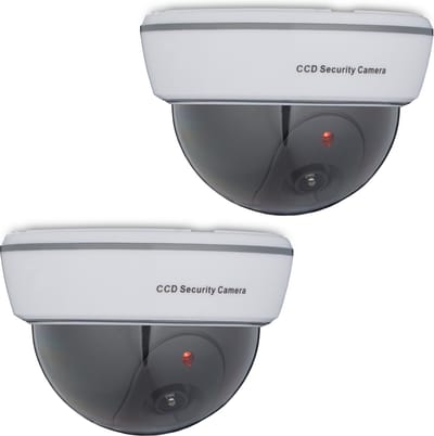 2x dummy dome camera - nepcamera - knipperende led - binnen & buiten - wit