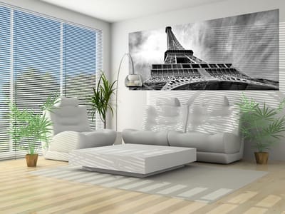 Paris Eiffel Tower Black White Photo Wallcovering