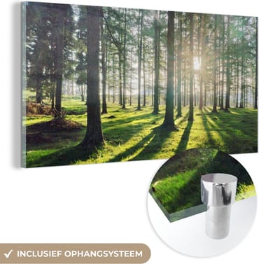 MuchoWow® Glasschilderij 40x20 cm - Schilderij acrylglas - Bomen - Natuur - Bos - Foto op glas - Schilderijen