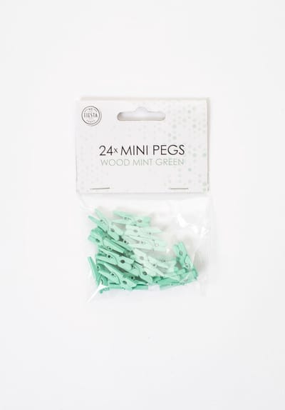 24 Mini houten knijpers Mint Groen - Feest Thema Polaroid Foto Ophangen Klein Knijper