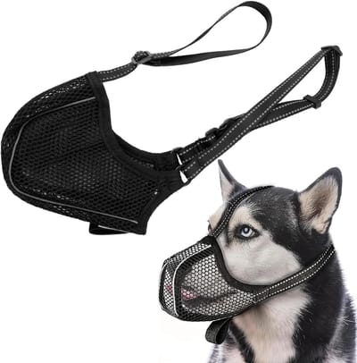 Allecto Plus - Muilkorf voor honden | Ademend en verstelbaar | Geschikt voor vachtverzorging en kauwen | Halsband inbegrepen | Labrador magnetron en vaatwasser bestendig