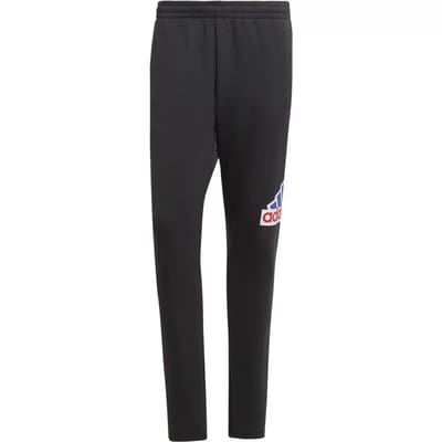 Jogging adidas Future Icons Bos