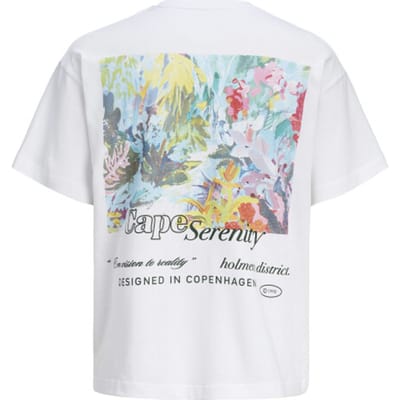 JACK&JONES - JORMONTAUK BACK GRAPHIC TEE SSCN EA26 SN - Heren - T-shirts