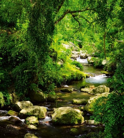 Fotobehang - Stream 225x250cm - Vliesbehang
