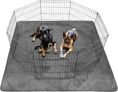 Wasbare Puppy Mat 182 x 182 cm - Sneldrogend en Hygiënisch voor Training van Puppies en Incontinentie bij Honden