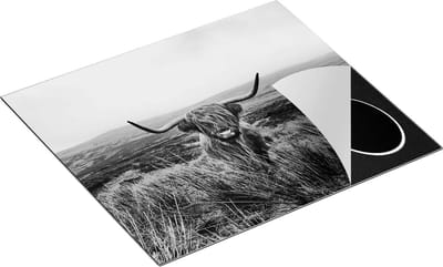 Chefcare Inductie Beschermer Groen Bos met Zonlicht - Zwart Wit - 60x50 cm - Afdekplaat Inductie - Kookplaat Beschermer - Inductie Mat