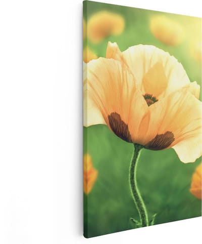 Artaza Canvas Schilderij Klaproos - 80x120 cm - Groot - Wanddecoratie Bloemen - Muurdecoratie Woonkamer - Schilderijen Op Canvas