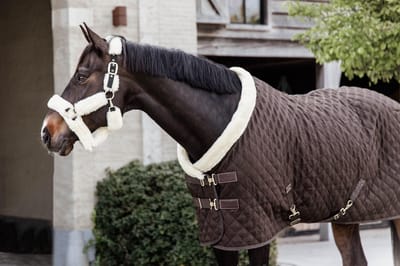 Showdeken bruin 130-6'0 160 gram