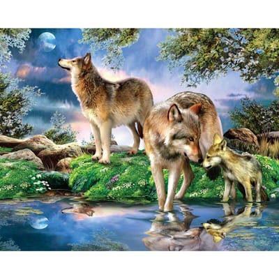 5D DIY diamant borduurwerk bos Wolf familie volledige ronde diamant schilderij kruissteek strass 20X30CM gray
