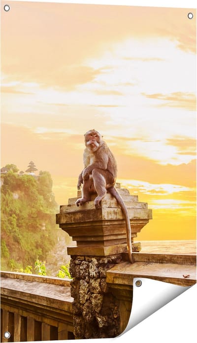 Gards Tuinposter Aap op de Uluwatu Tempel in Bali - 60x90 cm - Tuindoek - Tuindecoratie - Wanddecoratie buiten - Tuinschilderij