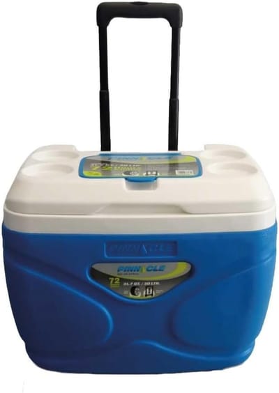 Draagbare Koelbox - Isolatiebox Koelen - Outdoor Activiteiten - Robuust Ontwerp - 30 Liter - Blauw Wit