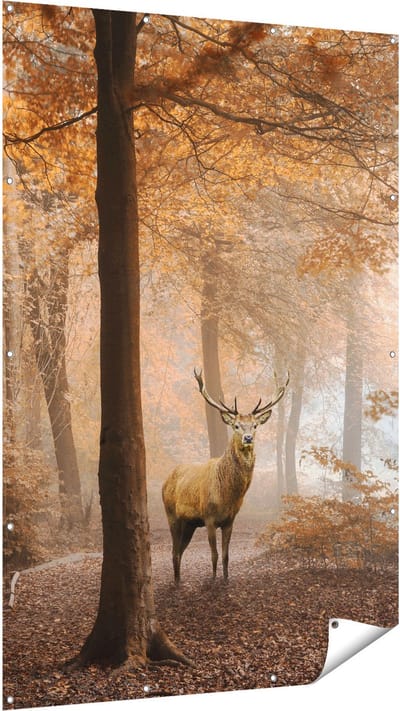 Gards Tuinposter Hert in het Bos - Herfst - 120x180 cm - Tuindoek - Tuindecoratie - Wanddecoratie buiten - Tuinschilderij