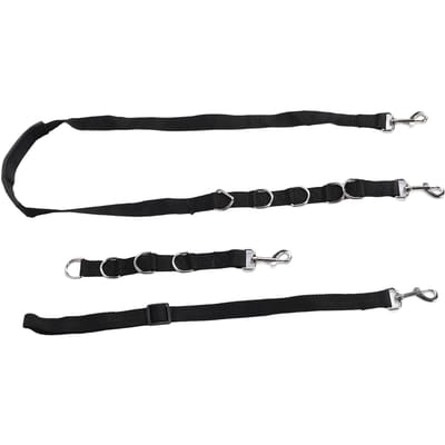Sangles ventrales pour toilettage canin en nylon réglable Laisse et sangle d'extension pour toilettage d'animaux Fournitures pour noir