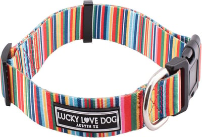 Comfortabele Hondenhalsband voor Kleine Honden met Regenboogstrepen – Zacht en Schattig