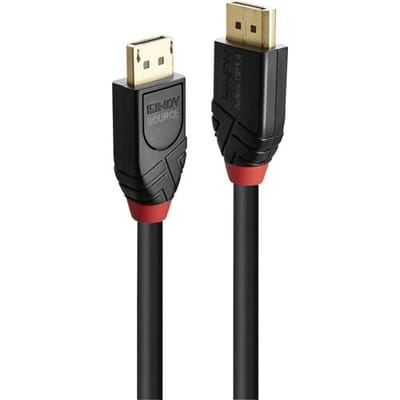 LINDY 41169 DisplayPort-kabel DisplayPort Aansluitkabel DisplayPort-stekker, DisplayPort-stekker 10.00 m Zwart Vergulde steekcontacten