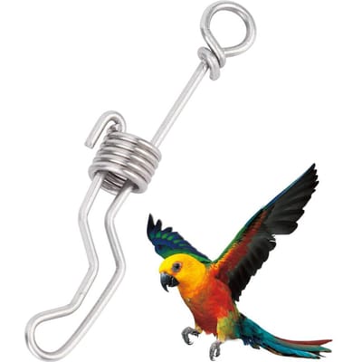 Kleine Roestvrijstalen Activiteit Opening Trainings Voetring Accessoires Papegaaien Kooi Benodigdheden white