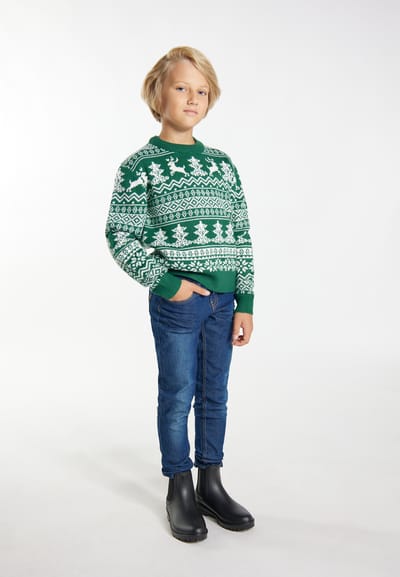 Mo Jumper jongens (kinderen) Groen Wit
