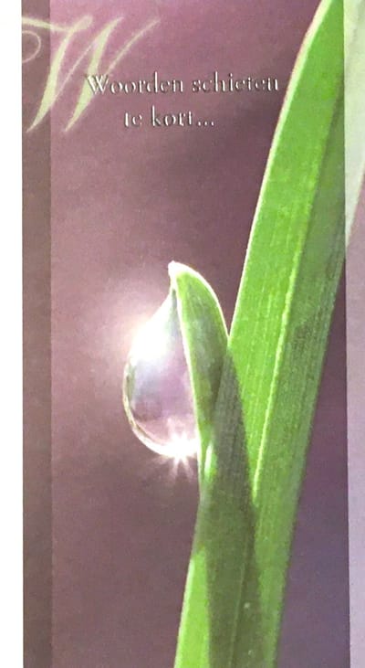 6 Luxe Wenskaarten Deelneming - Condoleance - Overlijden - Oprechte Deelneming - Art of Cards - 11,5x17cm - Dubbele Kaart - Met Envelop - Wens Kaart - Greeting Card - In Folie Verpakt - Angel 47 - Druppel - Gratis Verzonden - Hoge Afnamekortingen