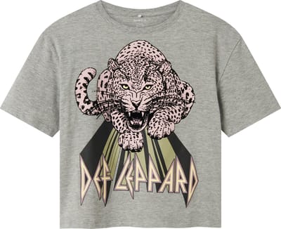 NAME IT - NKFJIKKI DEFLEPPARD SS RLX TOP BOX UNV - Meisjes - T-shirts