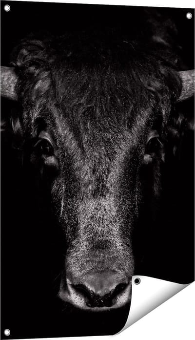 Gards Tuinposter Stierenkop - Stier - Zwart Wit - 60x90 cm - Tuindoek - Tuindecoratie - Wanddecoratie buiten - Tuinschilderij