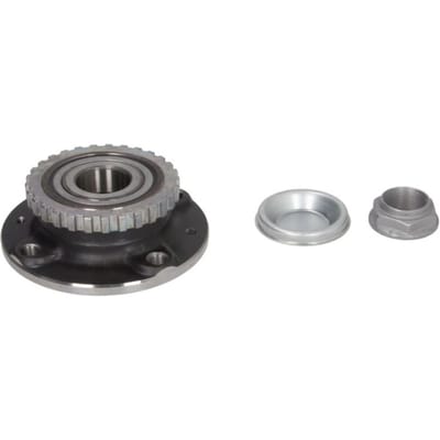 Wiellagerset SNR R166.29