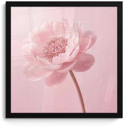 Poster in lijst - Fotolijst 40x40 cm - Posters - Bloem - Pioenroos - Roze - Posterlijst zwart - Decoratie - Wanddecoratie woonkamer - Muurdecoratie slaapkamer