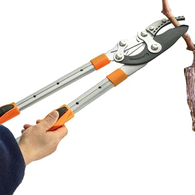 Takkenschaar Lange Steel - Boom Snoeischaar - Tuinonderhoud - Verstelbare Lengte - 68-97 cm - Oranje/Wit