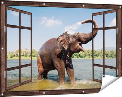 Gards Tuinposter Doorkijk Vrolijke Olifant in het Water - 120x80 cm - Tuindoek - Tuindecoratie - Wanddecoratie buiten - Tuinschilderij