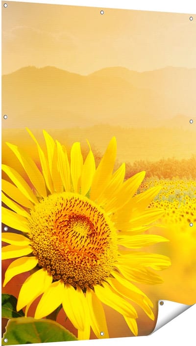 Gards Tuinposter Zonnebloemen Veld met Zonopkomst - 100x150 cm - Tuindoek - Tuindecoratie - Wanddecoratie buiten - Tuinschilderij