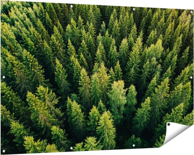 Gards Tuinposter Bos met Bomen vanaf Boven - 150x100 cm - Tuindoek - Tuindecoratie - Wanddecoratie buiten - Tuinschilderij