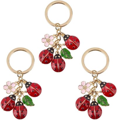 Gelukspoppetjes - Sleutelhanger Set - Metaal/Emaille - Schattige Lieveheersbeestjes - Levendige Kleuren - Voor Dames