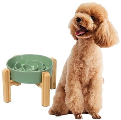 Verhoogde anti-schrok hondenvoerbak met antislip en puzzeldoolhofontwerp voor kleine en middelgrote honden - 17 cm groen
