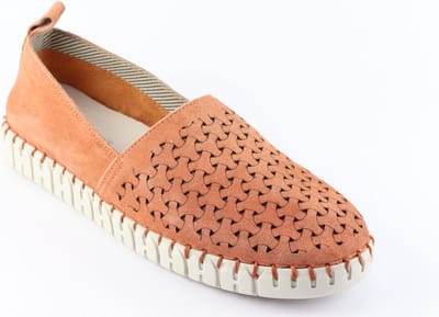 Sioux Rachida.6169291 Macaron
