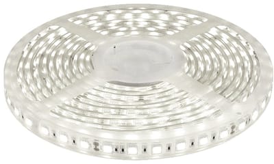 LED strip 5m 24V 6000K IP68 300 SMD 5050 LEDS