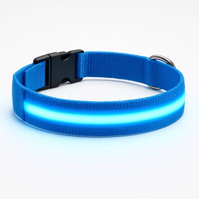 Professor Q – LED Halsband Hond – Lichtgevend - Oplaadbare LED Halsband Hond – Blauw – Maat XS