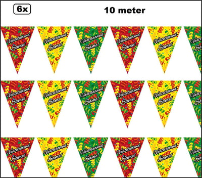 6x Luxe Vlaglijn Vastelaovend dubbelzijdig bedrukt 10 meter - Vastelaovend Same - Carnaval vlaggenlijn optocht thema feest