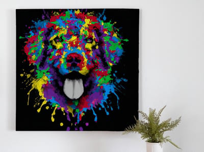 Happy doge | Happy Doge | Kunst - 80x80 centimeter op Forex | Foto op Forex