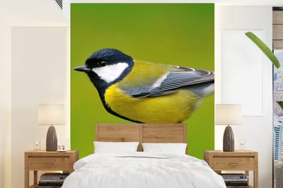 Behang - Fotobehang Vogel - Koolmees - Dieren - Groen - Breedte 190 cm x hoogte 260 cm