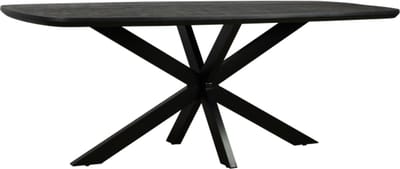 Eettafel Colorado Deens ovaal mangohout 280x110 cm - zwart