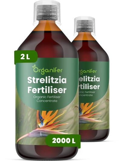 Vloeibare Meststof Voor Strelitzia 2X1 L Voor 2000 L - Npk 2-1-8 - Ondersteunt Krachtige Vegetatieve Groei En Een Opgaande Structuur Bij Strelitzia - Bevordert Betrouwbare Ontwikkeling Van Bloemstelen En Bloemkwaliteit - Organifer
