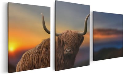 Artaza Canvas Schilderij Drieluik Schotse Hooglander Koe Op Een Heuvel - 120x60 - Foto Op Canvas - Canvas Print