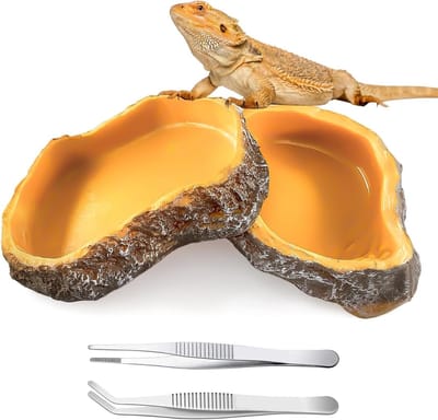 Waterdichte terrarium schotel voor planten - ideaal voor aquascaping, decoratie en terrariumaccessoires, 18.2 x 13.5 cm