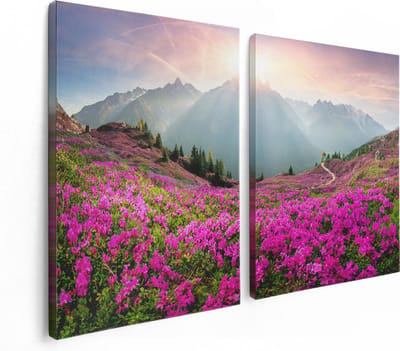 Artaza Canvas Schilderij Tweeluik Rhododendron Bloemenveld In De Alpen - 120x80 - Foto Op Canvas - Canvas Print